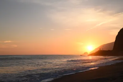 DSC_4140 (Large).JPG